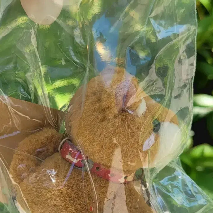[BUNJANG] Vintage Dog Plush Keychain with Watch Charm / 빈티지 강아지 인형 키링