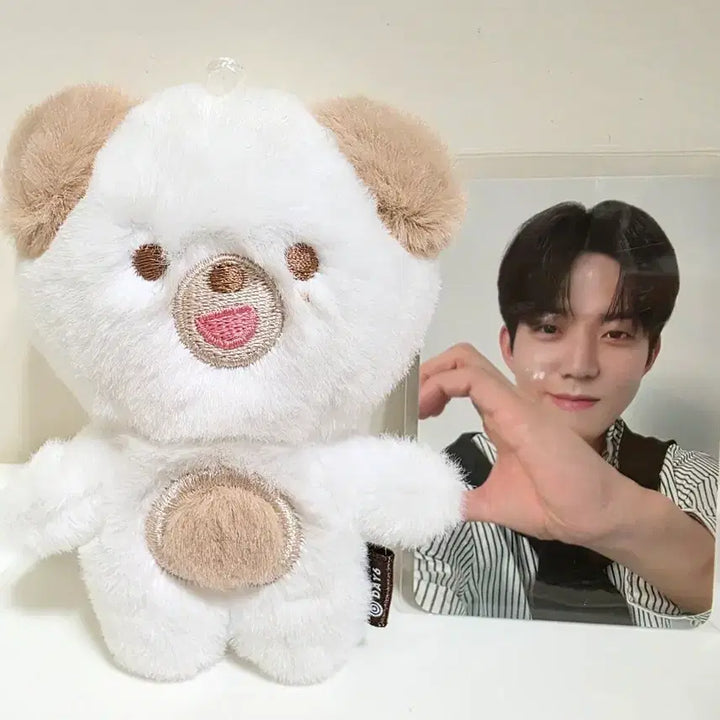 [BUNJANG] Day6 Dowoon Petit Merch Photocard / 데이식스 쁘띠멀즈 돈 도운 원가이하
