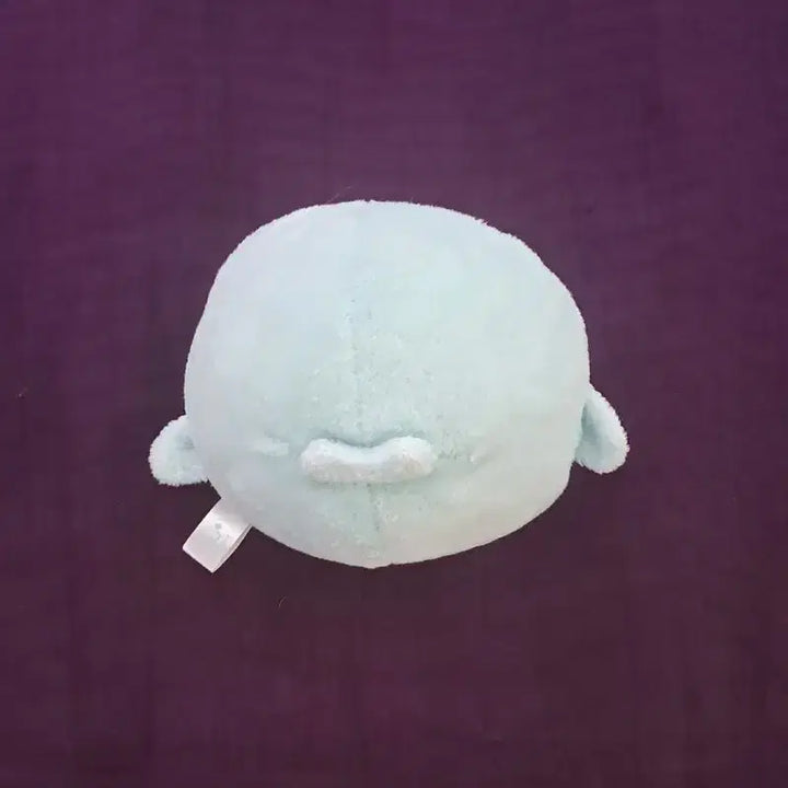 [BUNJANG] San-X Mamegoma Seal Plush Toy (Mint/Sky Blue) / 산엑스 모찌 마메고마 인형 민트 하늘 소라고마