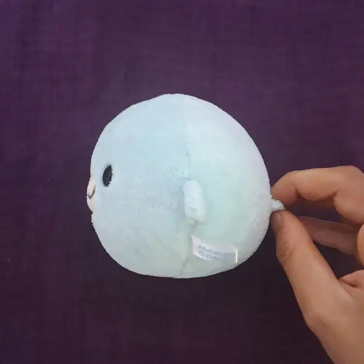 [BUNJANG] San-X Mamegoma Seal Plush Toy (Mint/Sky Blue) / 산엑스 모찌 마메고마 인형 민트 하늘 소라고마