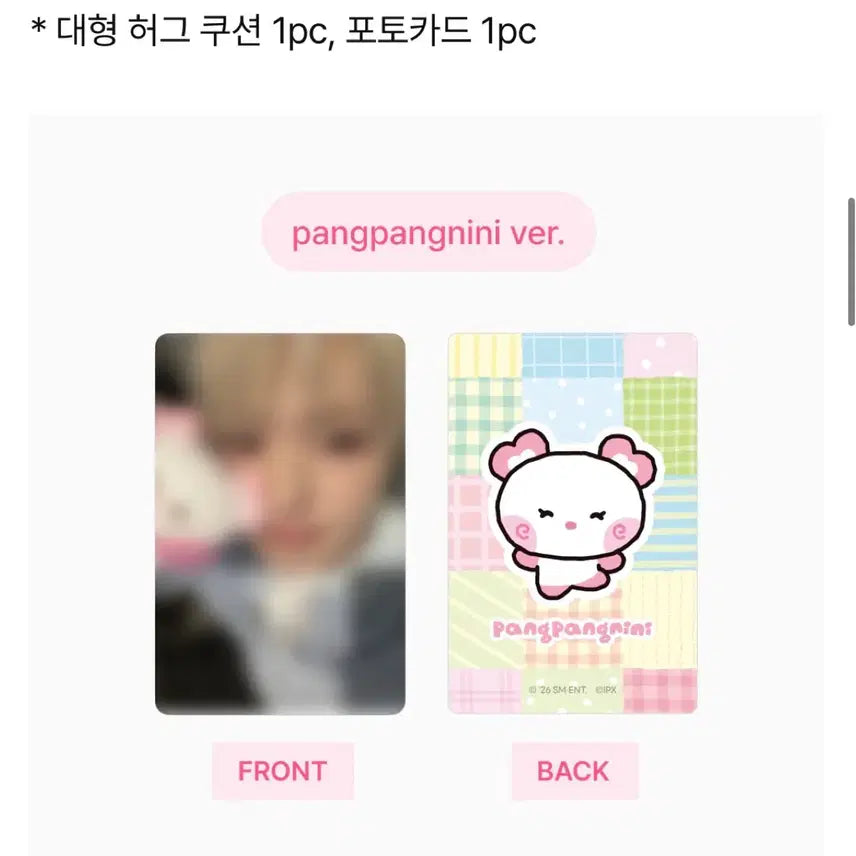 [BUNJANG] NCT WISH Line Friends Riku Yuushi Sakuya Big Hug Cushion &amp; Room Plush Photocard Split Set / 라인프렌즈 리쿠 유우시 사쿠야 빅허그쿠션, 룸플러시, 쿠션 포카 분철
