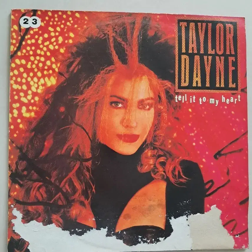[BUNJANG] Taylor Dayne &