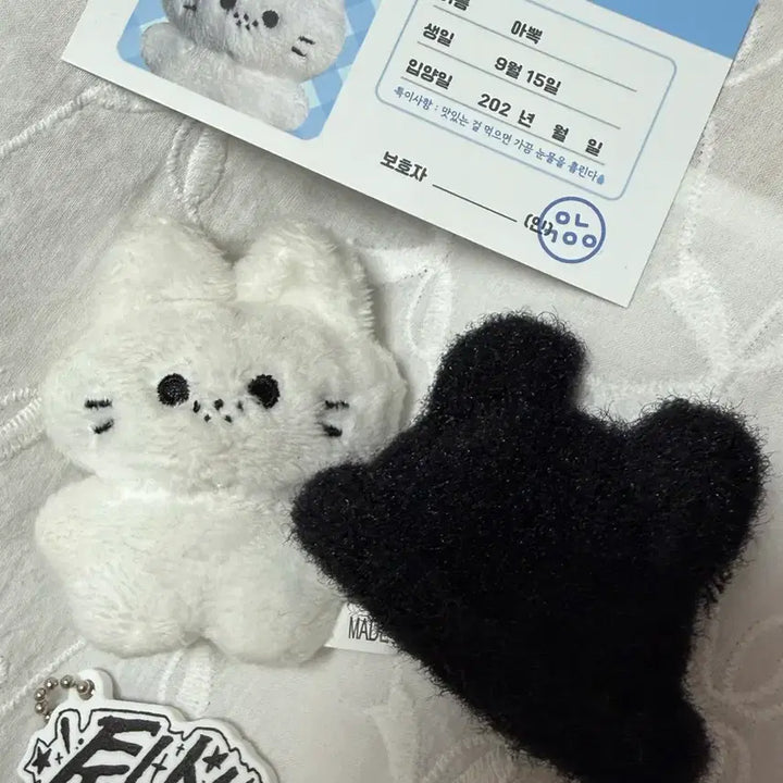 [BUNJANG] Stray Kids Felix APpoK Doll / 스트레이키즈 스키즈 필릭스 아뽁 인형 양도
