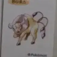 [BUNJANG] Pokemon Artwork Stickers (Ttiboo Seal) / 포켓몬 아트웍 띠부씰 구매