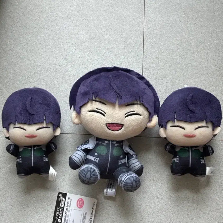 [BUNJANG] Hoshina Plush Doll Bundle Set / 호시나 누이 일괄