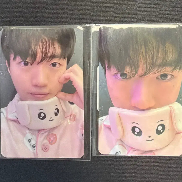 [BUNJANG] T1 Keria Birthday Pajamas Photocard Bundle Set (Sealed) / t1 티원 케리아 생일 잠옷 포카 포토카드 일괄 미개봉