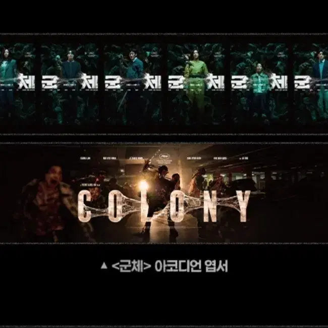 [BUNJANG] Gunchye Accordion Postcard / 최저가)군체 아코디언 엽서