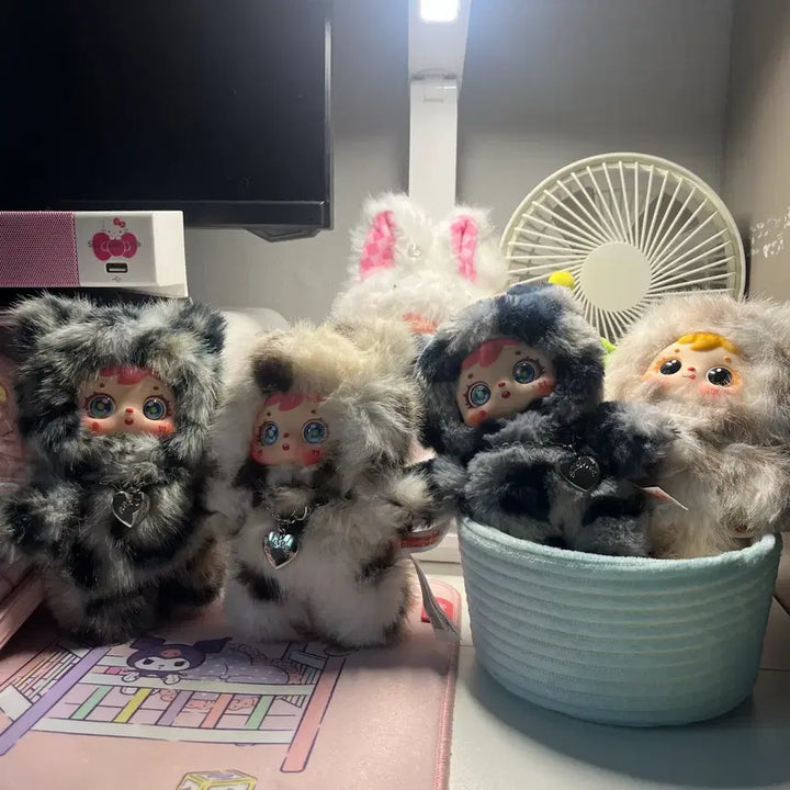 [BUNJANG] Samuel Hoppy Cat Bundle / 사무엘 호피 고양이 일괄(오늘만 할인)