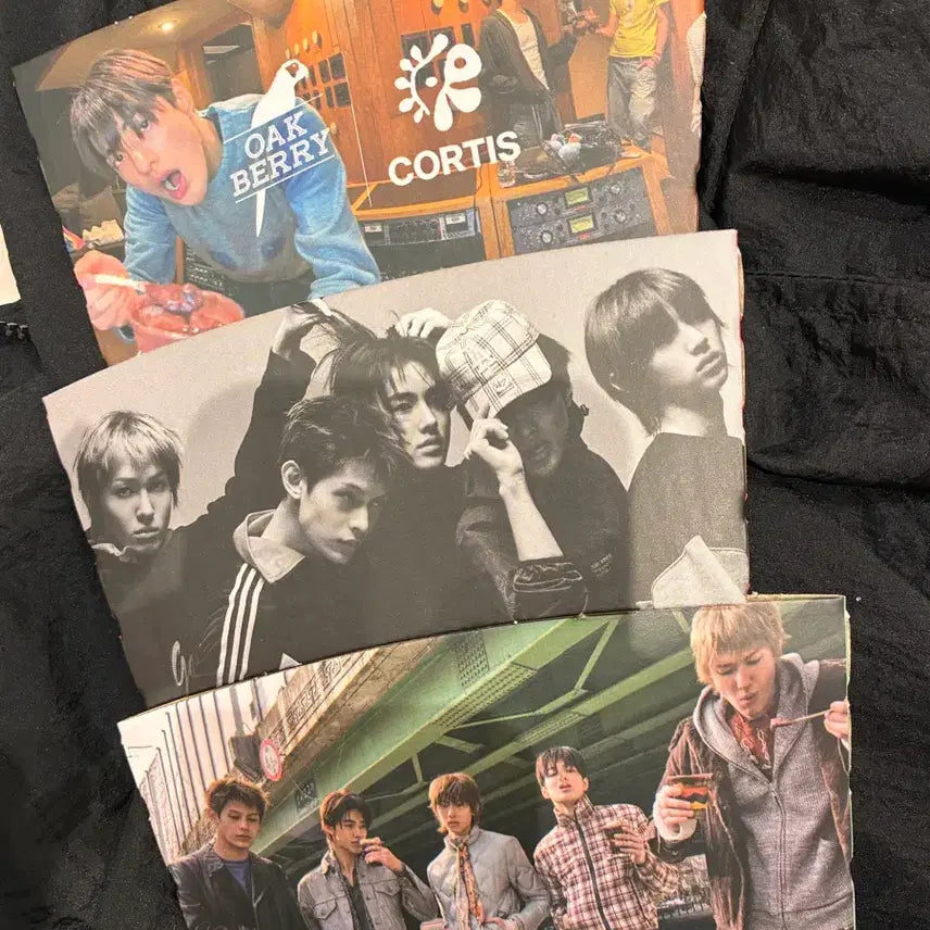 [BUNJANG] Cortice Oakberry 3-Set Holder Bundle / 코르티스 오크베리 홀더3종 일괄 판매 합니다