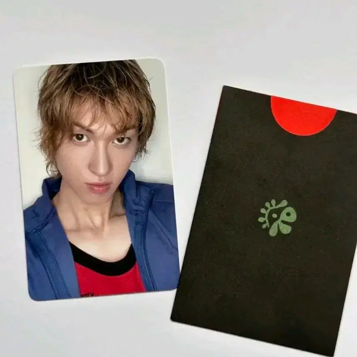 [BUNJANG] Martin Asai Studio Photocard / 마틴 아사이 공방 포카