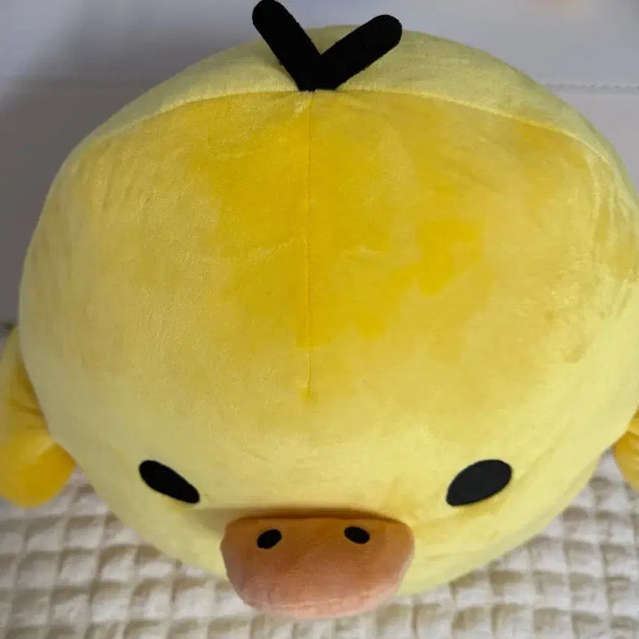 [BUNJANG] Rilakkuma Kiiroitori L Size Plush / 키이로이토리 L