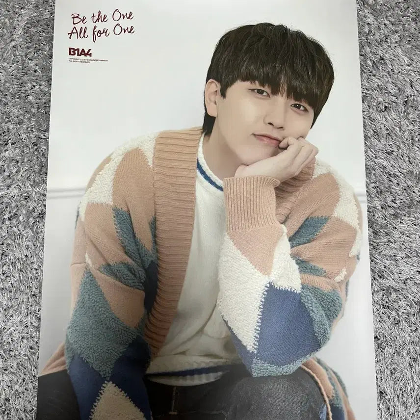 [BUNJANG] B1A4 Group &amp; Member Posters / B1A4 포스터(무료배송)