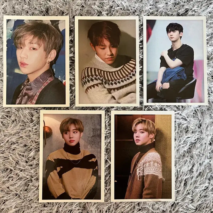 [BUNJANG] Wanna One Park Jihoon Hwang Minhyun Park Woojin Kang Daniel Photocard Bundle Set / 워너원 박지훈 황민현 박우진 강다니엘 포토카드(무료배송)