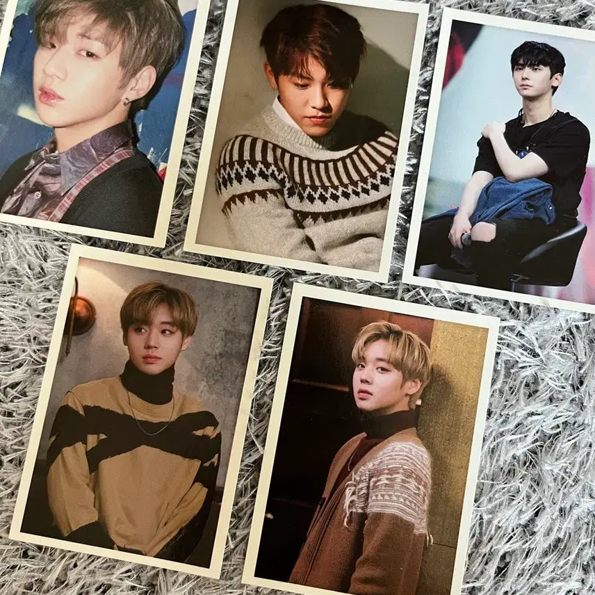 [BUNJANG] Wanna One Park Jihoon Hwang Minhyun Park Woojin Kang Daniel Photocard Bundle Set / 워너원 박지훈 황민현 박우진 강다니엘 포토카드(무료배송)
