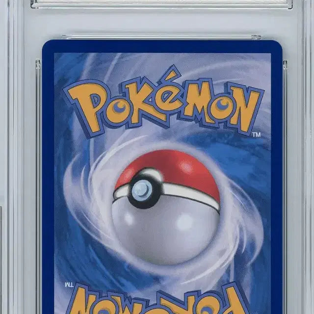 [BUNJANG] Pokemon Card "Reshiram" BRG10 Consecutive Numbered Pair / N의 레시라무 brg10 연번 2장 포켓몬카드