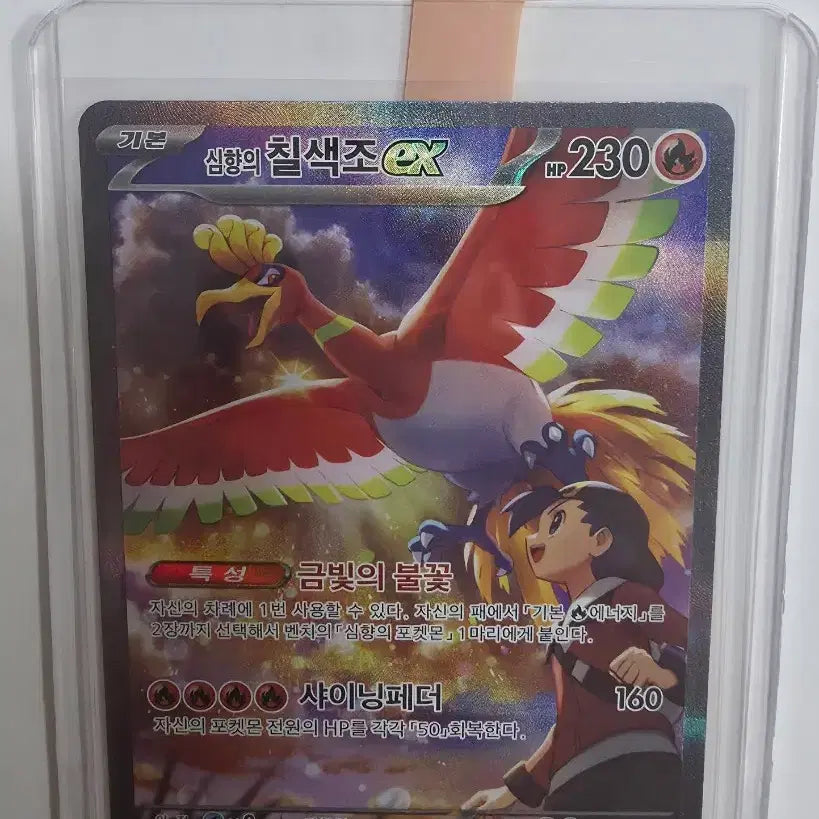 [BUNJANG] Pokemon Card Entei ex SAR / 포켓몬 카드 심향의 칠색조ex SAR