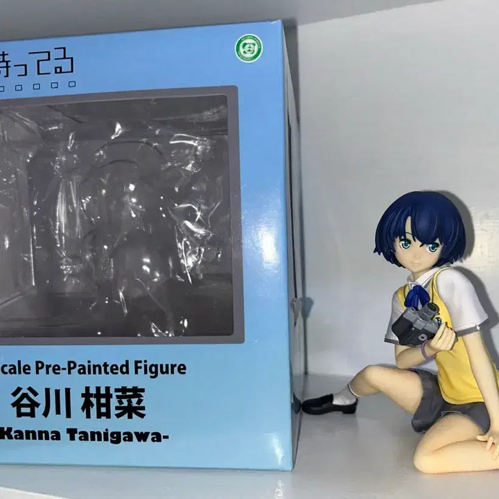 [BUNJANG] Plum 1/7 Kanna Tanigawa "Waiting in the Summer" Scale Figure / 플럼 1/7 타니가와 칸나 그 여름에서 기다릴게 스케일 피규어