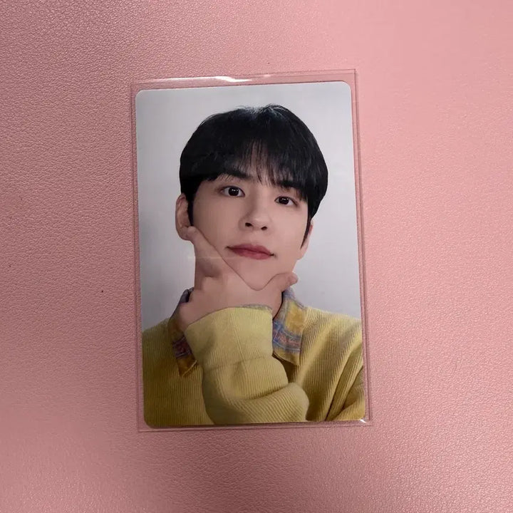 [BUNJANG] Day6 Forever Young Japan Concert MD Photocard Wonpil / 데이식스 포에버영 일본콘 엠디 만엔 십만원 구매 특전 포카 원필