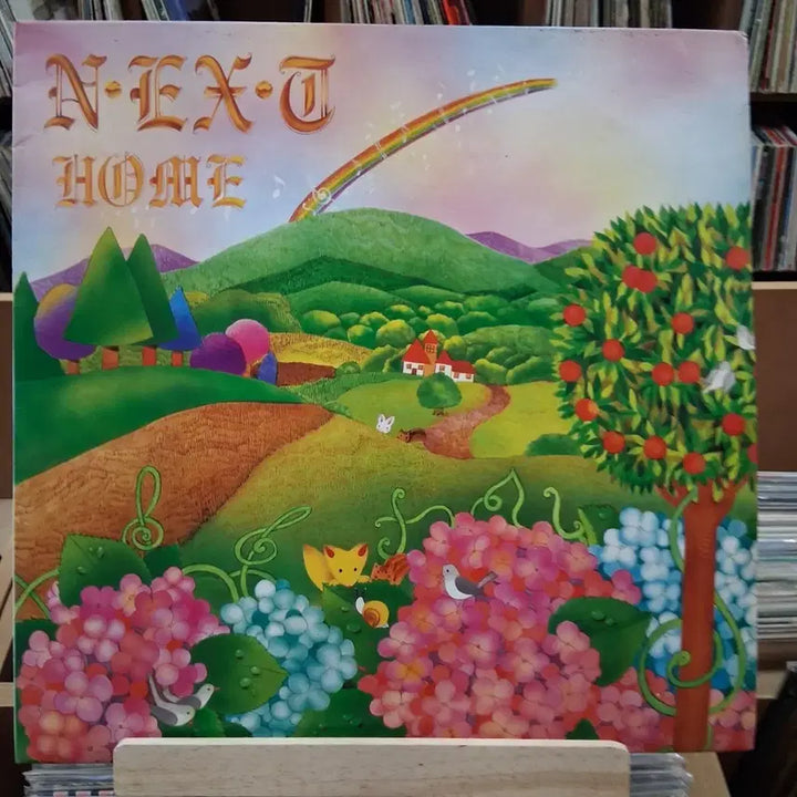 [BUNJANG] NEXT HOME Album LP / 가요 초반 NEXT HOME 앨범 LP 할인