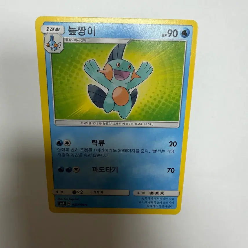[BUNJANG] Pokemon Card Collection / 늪짱이 포켓몬카드