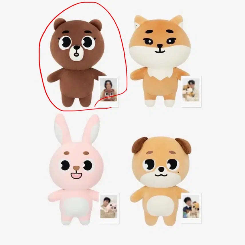 [SOLD OUT] 데이식스 자이언트 데니멀즈 방 양도