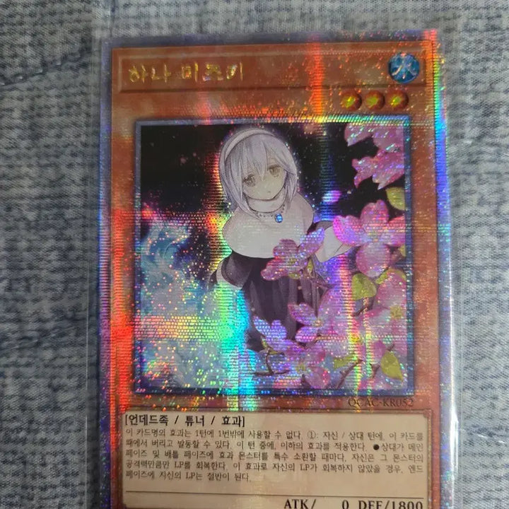 [BUNJANG] Yu-Gi-Oh! Mizuki Hama Quarter Century Secret Rare / (유희왕) 하나 미즈키 (쿼시크)