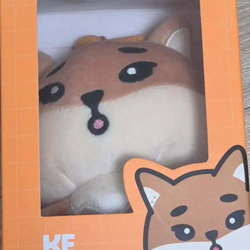 [BUNJANG] DAY6 Young K Denimals Oingke Cat Version Photocard / 데이식스 영케이 데니멀즈 오잉케 22케 고양버전