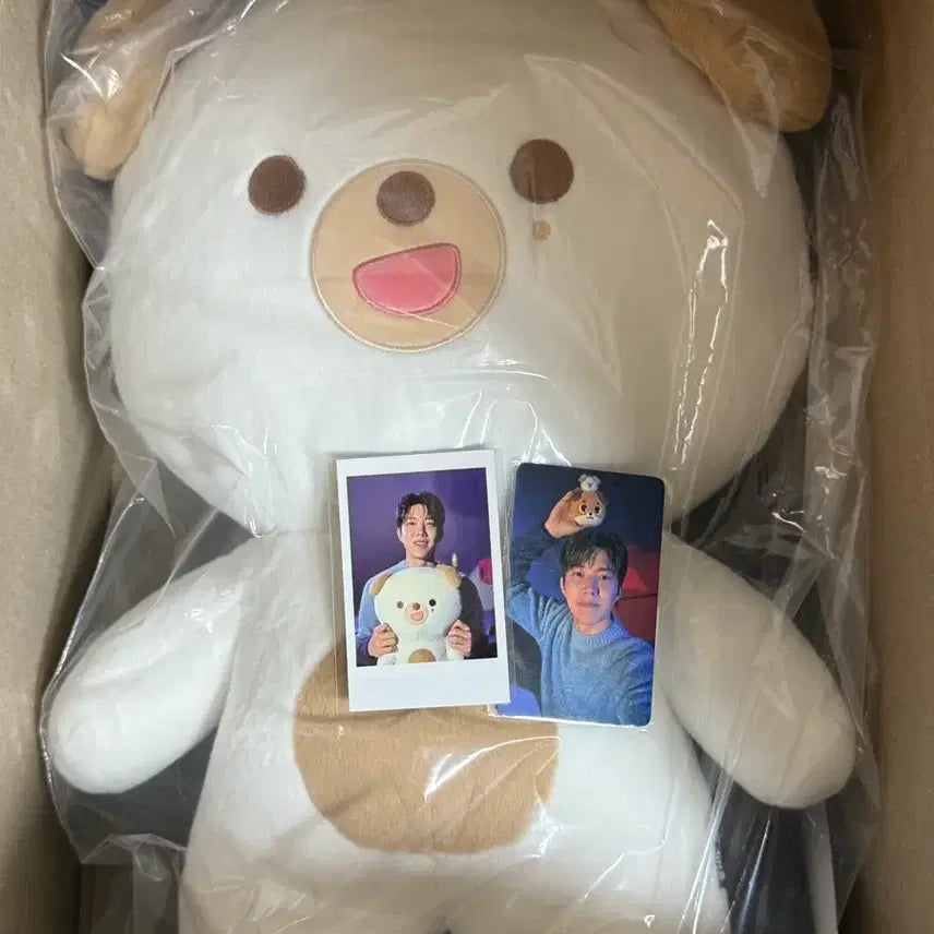 [BUNJANG] Day6 Denimals Jjabeumul Don Photocard Bundle Set / (미개봉 포카폴라 포함) 데이식스 데니멀즈 자쁘멀 돈