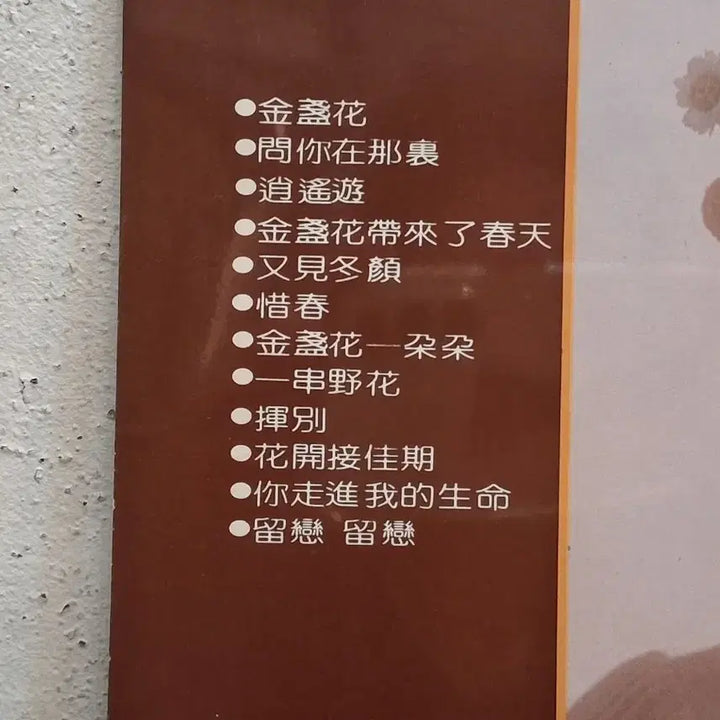 [BUNJANG] Teresa Teng LP Record / 등려군 LP