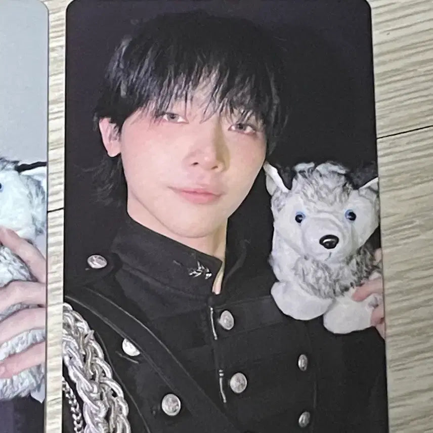 [BUNJANG] andteam Nicholas Japan Tour Photocard / 앤팀 콘서트 투어 포카  &amp;team andteam 니콜라스 르네존