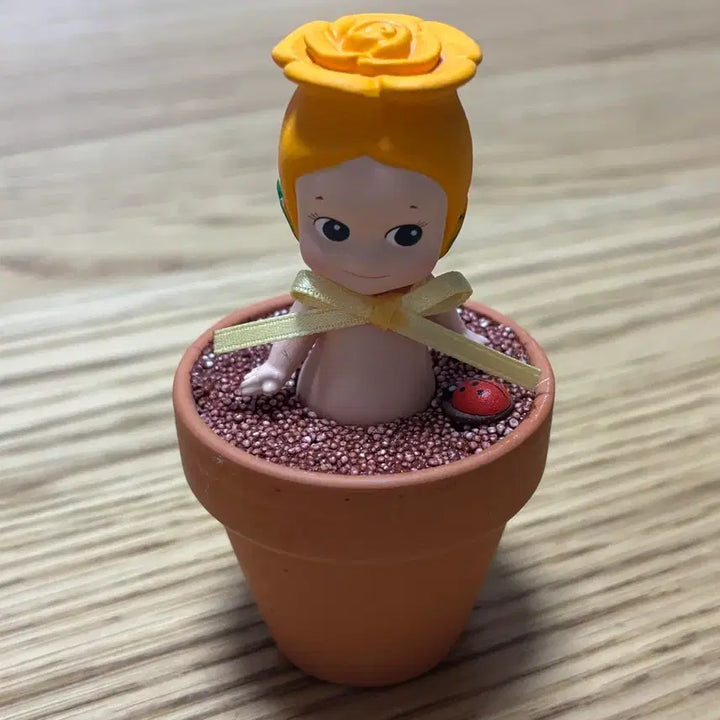 [BUNJANG] Sony Angel Custom Flowerpot / 소니엔젤 커스텀 화분