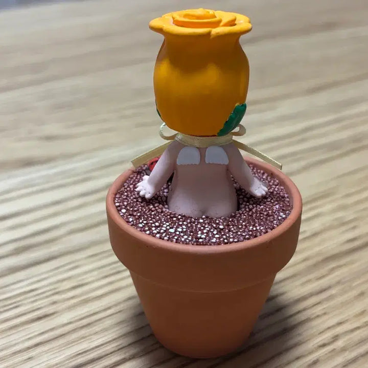 [BUNJANG] Sony Angel Custom Flowerpot / 소니엔젤 커스텀 화분