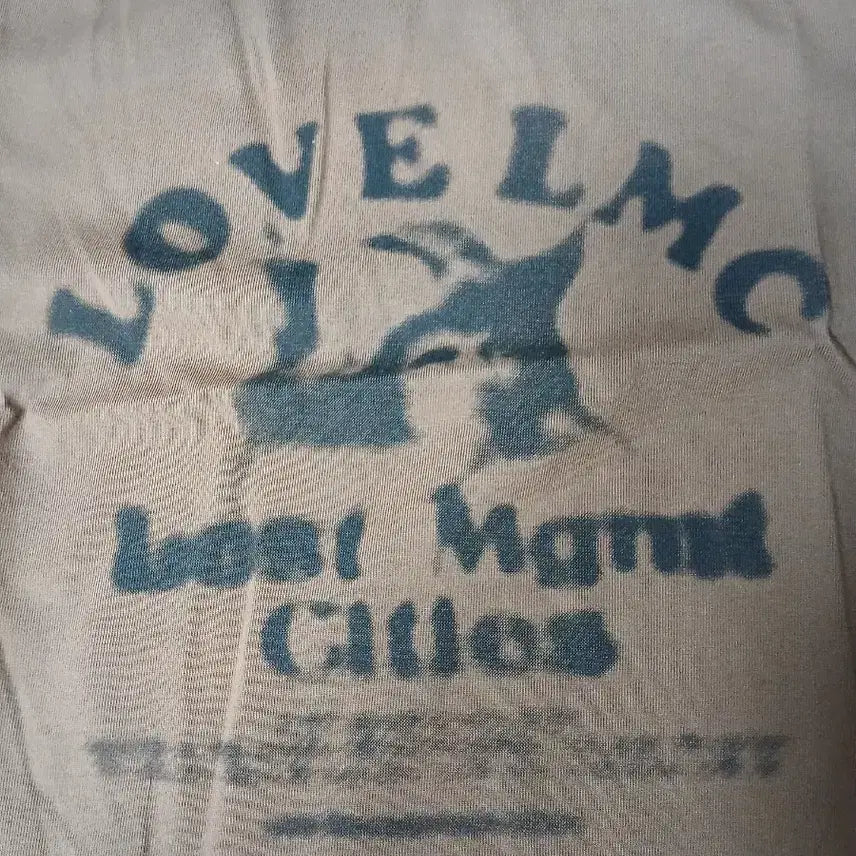 [BUNJANG] LMC Brown Logo Short Sleeve Cropped T-Shirt / [LMC] 브라운 로고 반팔 크롭티셔츠 새상품