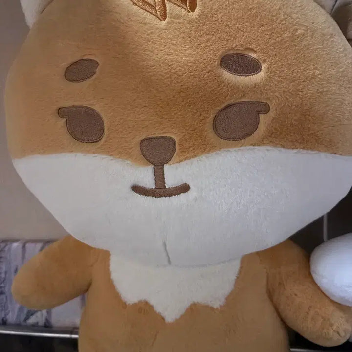 [BUNJANG] DAY6 Giant Petitmerls Petitmerls Doll / 자이언트 쁘띠멀즈 케 데이식스 자쁘멀