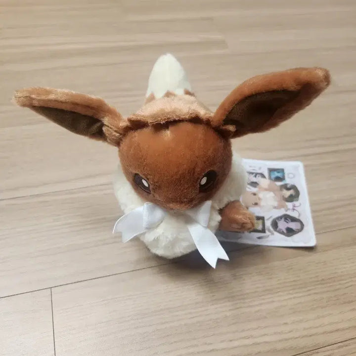 [BUNJANG] Pokemon Eevee High Five Collection Plush Doll / 이브이 포켓몬 하이파이브 컬렉션 봉제 인형 서울숲 포레스트 팝업 이브이즈