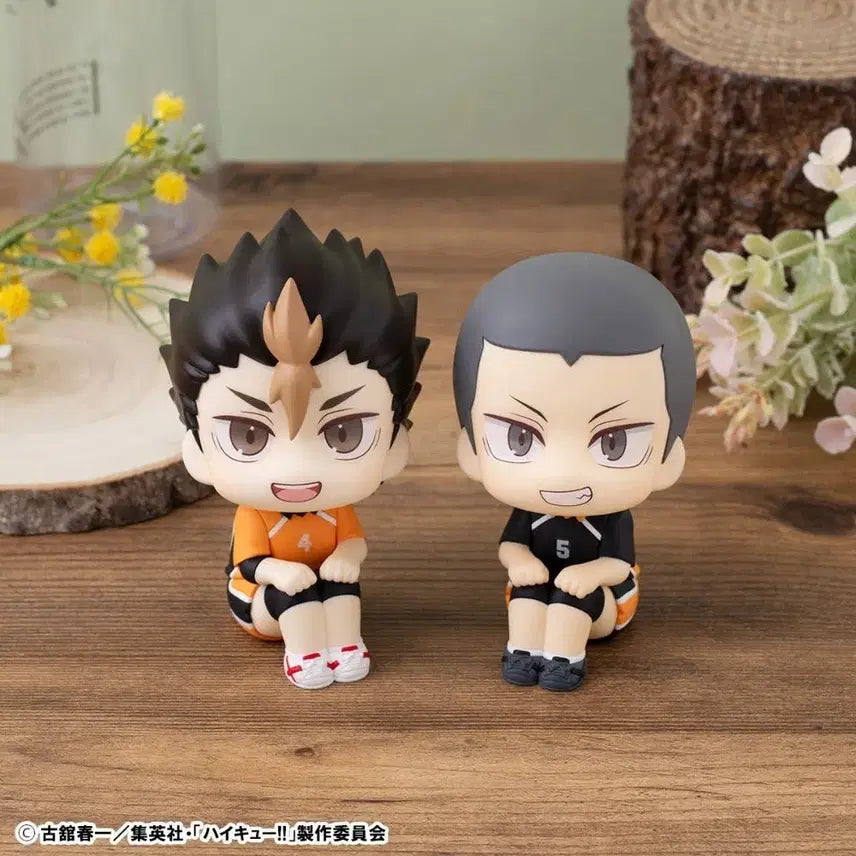 [BUNJANG] Haikyuu Nishinoya Yu Tanaka Ryunosuke Look Up Special Benefit Set / [특전포함] 하이큐 니시노야유 타나카류노스케 룩업