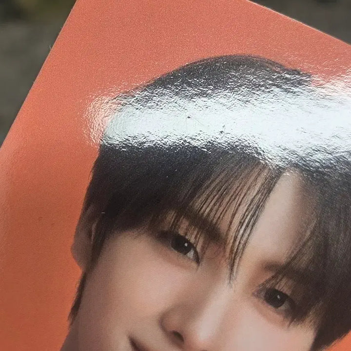 [BUNJANG] TWS Youngjae Miero Fiber Begins Photocard Bundle Set / 투어스 tws 미에로화이바 비긴스 포카 일괄 영재