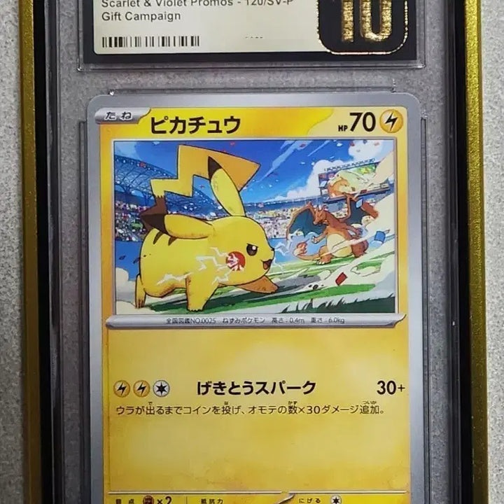 [BUNJANG] Pikachu Charizard Japanese Gym Promo Card CGC 10 Pristine / 일본판 포켓몬카드 체육관 짐 프로모 피카츄 리자몽 CGC 10 프리스틴