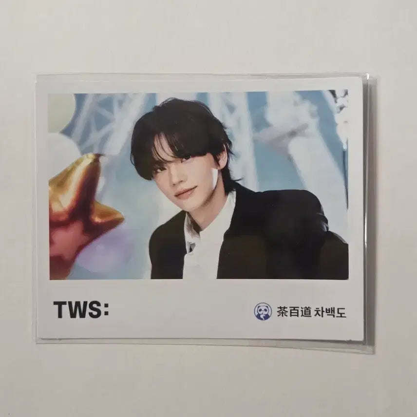 [BUNJANG] TWS Mi-Roo Fiber Begins Photocard Set - Cha Hakyeon Postcard Bundle / 투어스 tws 미에로화이바 비긴스 포카 / 차백도 엽서 일괄 신유