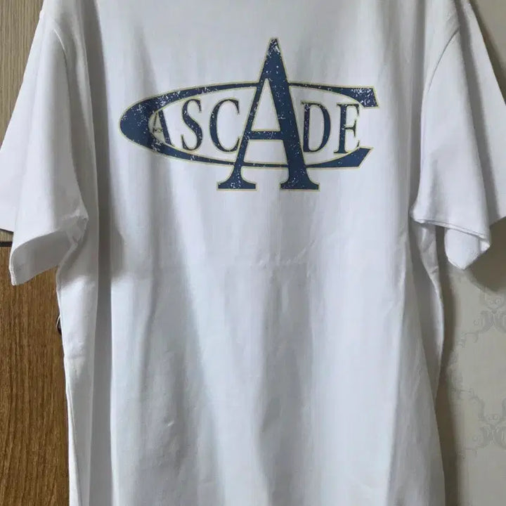 [BUNJANG] T-shirt / 아이돈워너셀 반팔