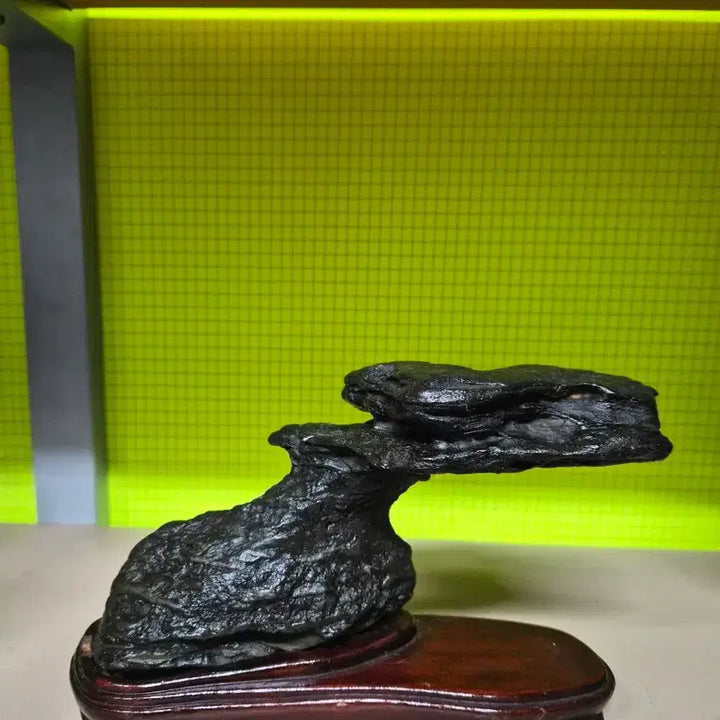 [BUNJANG] Black Celadon Scholar / 수석.물형 .흑초고석.
