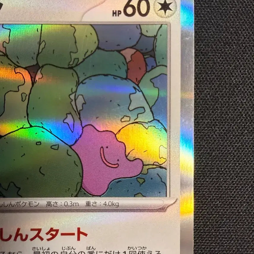 [BUNJANG] Pokemon Japanese 151 Metamon Binder Collection Card / [바인더 소장용] 2023 포켓몬스터 일본어판 151 메타몽 (SV2a