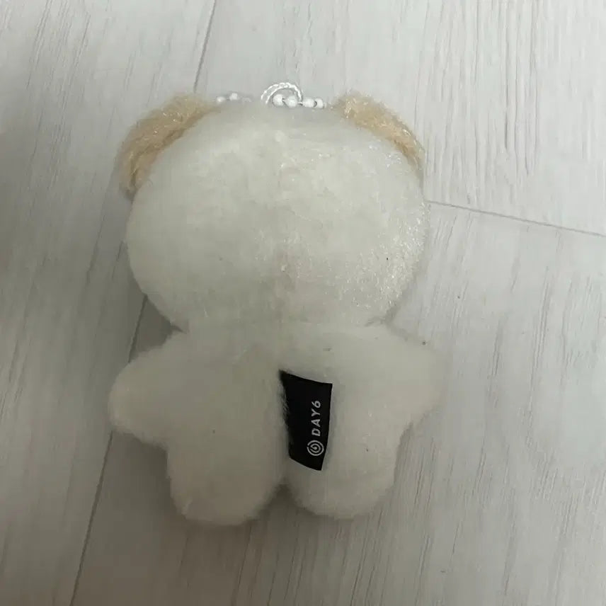 [BUNJANG] Petit Malls Don Accessory / 쁘띠멀즈 돈