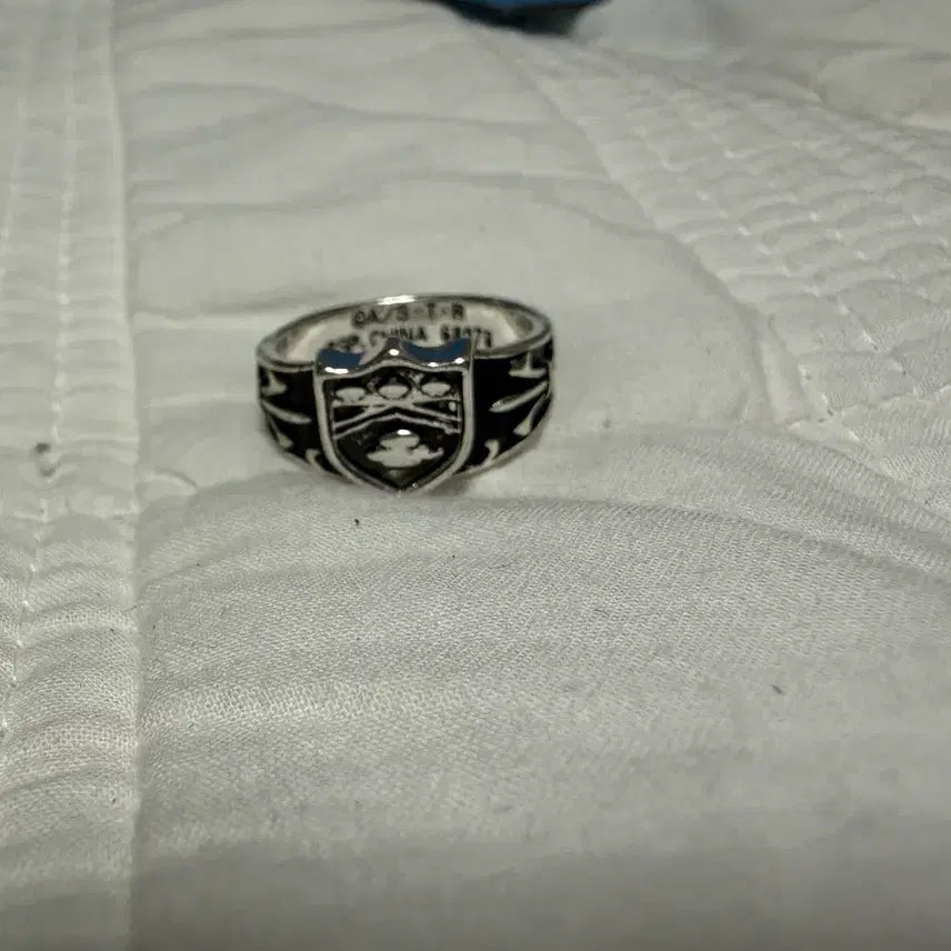 [BUNJANG] Katekyo Hitman Reborn! Vongola Ring (Unsealed) / (개봉상품)제일복권 가히리 F상 봉고레링