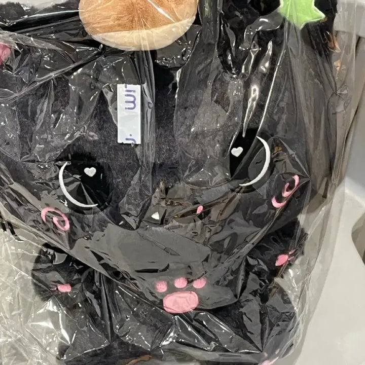 [BUNJANG] NCT WISH Wishdol Kuri 30cm Plush Doll (Sealed) / (미개봉) 엔시티 위시 베이커리 팝업 30cm 위시돌 쿠리