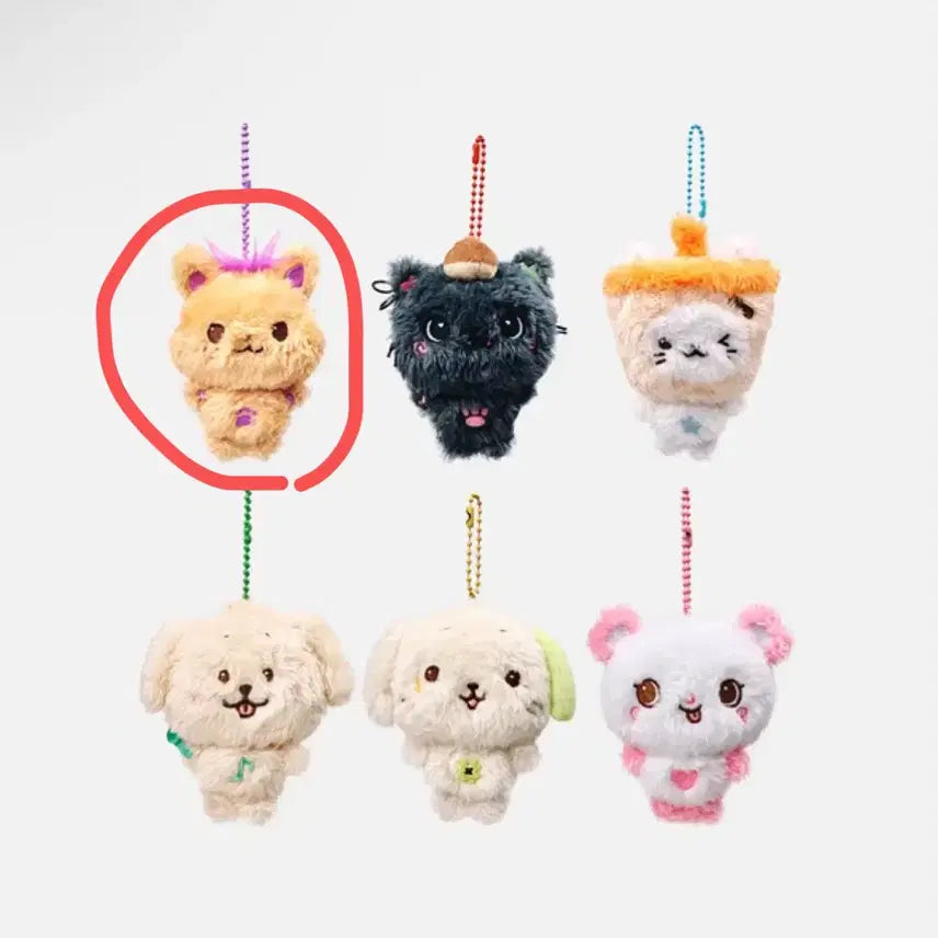 [BUNJANG] NCT WISH Sioning Pocket Wishdoll Sealed / 미개봉 현물) 엔시티 위시 포켓 위시돌 시오닝
