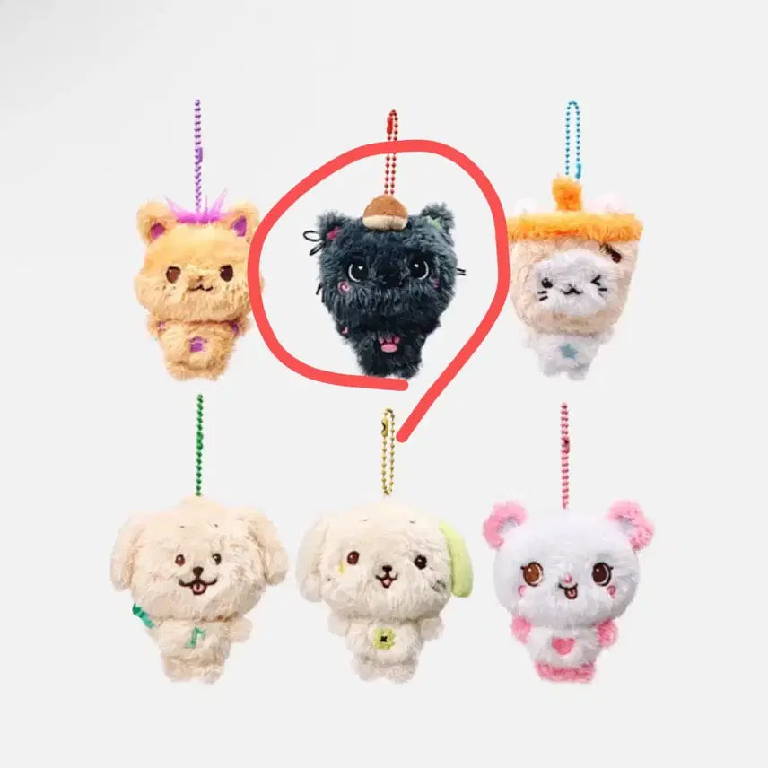 [BUNJANG] NCT WISH Pocket Wish Doll Kuri (Sealed) / 미개봉현물) 엔시티위시 포켓 위시돌 쿠리