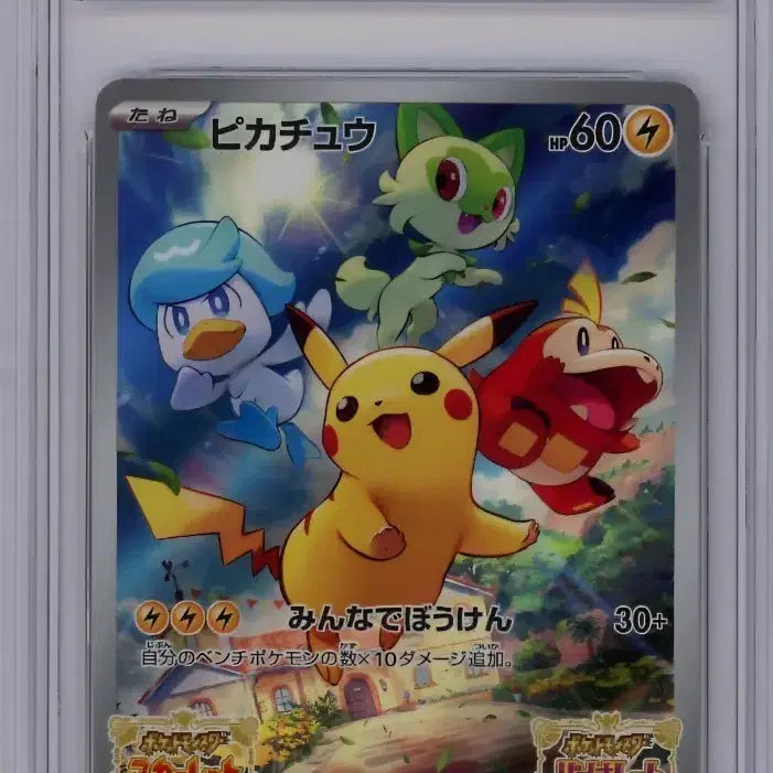 [BUNJANG] Pokemon Card Scarlet &amp; Violet Pikachu Promo / 포켓몬 카드 스칼렛 바이올렛 피카츄 판매합니다