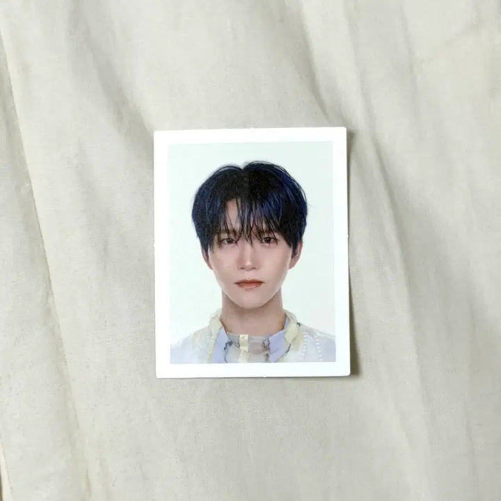 [BUNJANG] NCT WISH Jaehee Eros Version Proof Photo / 엔시티 위시 재희 빅스미니 증사 에로스 버전 증명사진