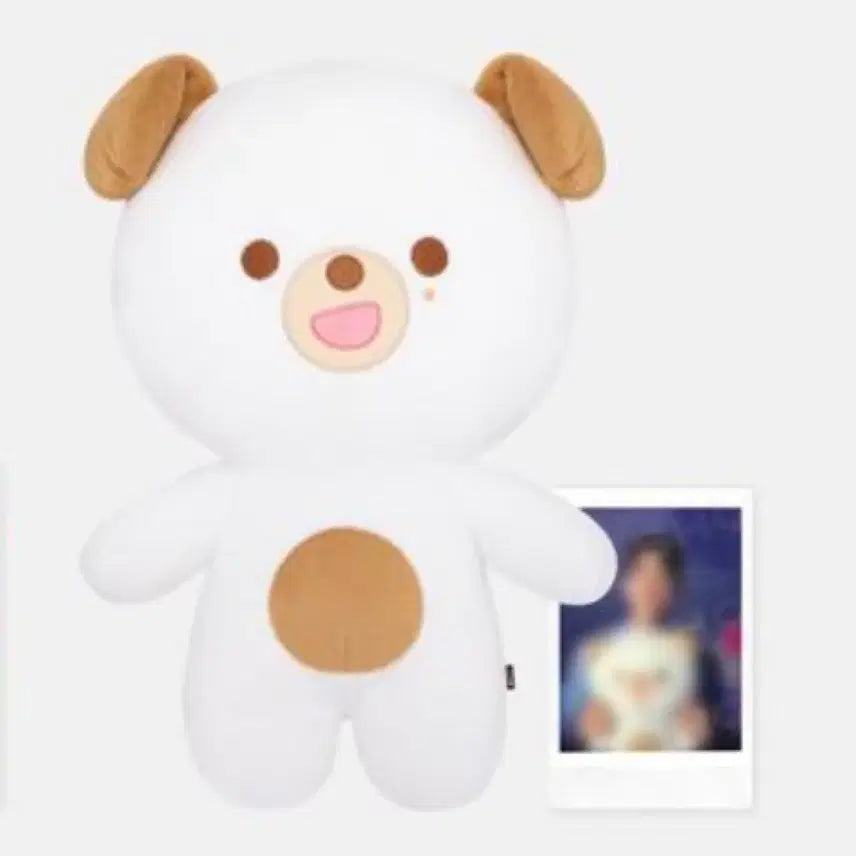 [BUNJANG] Day6 Jae Photocard (Lucky Draw) / 미개봉) 포카O) 원가) 데이식스 자쁘멀 - 돈